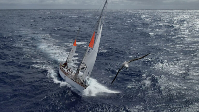 An albatross leading Galiana WithSecure
