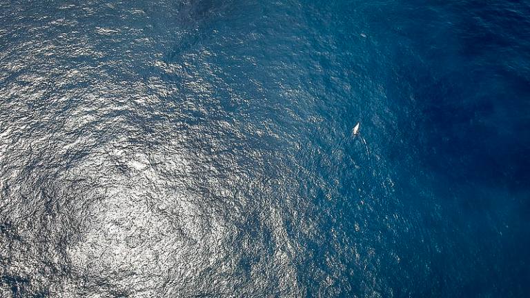 #8 2nd leg Cape Town to Auckland Galiana at sea tilted angle II