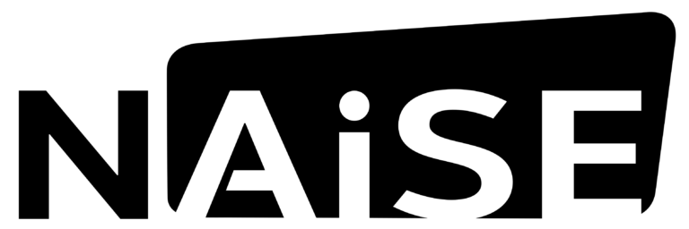 NAiSE logo